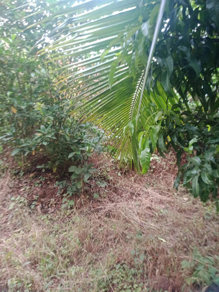 Property Kokan