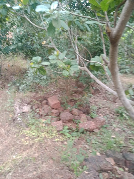 Property Adivare