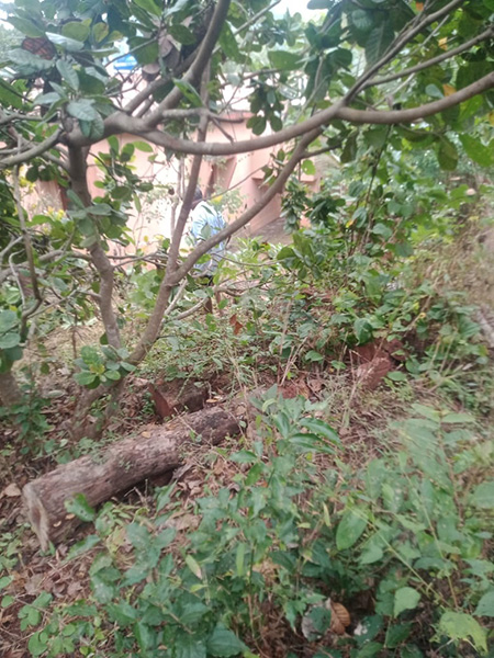 Property Rajapur