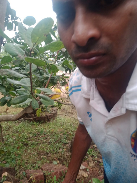 Property Adivare Rajapur Ratnagiri