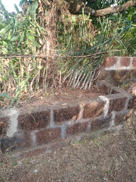 Property Rajapur Ratnagiri