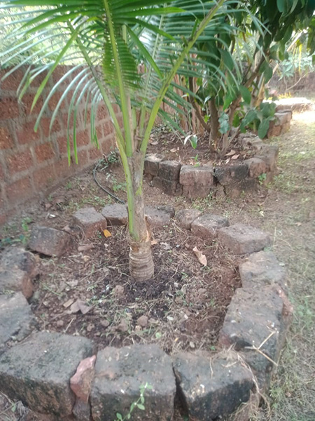 Real Estate Rajapur Ratnagiri