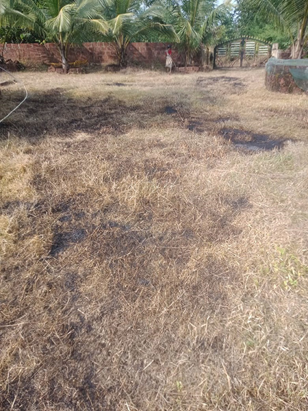 Countryside home at Rajapur Ratnagiri