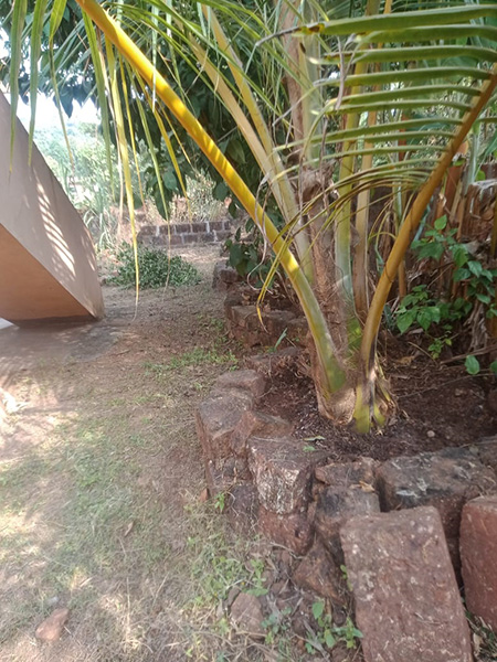 Thane Property