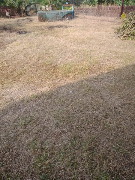 Property Tal kokan