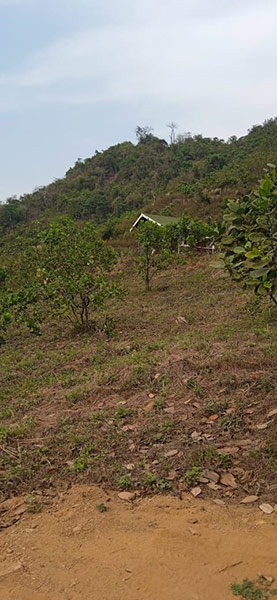 Dodamarg Property